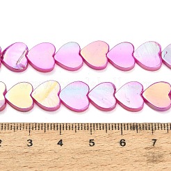 Natural Freshwater Shell Beads Strands&nbsp;SH-CBA93AD-06F