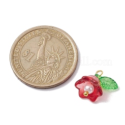Mixed Color Glass Pearl & Acrylic Charms&nbsp;PALLOY-JF02567-02