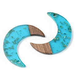 Transparent Resin & Walnut Wood Pendants&nbsp;RESI-S389-056B-B03