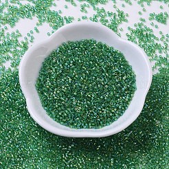 MIYUKI Delica Beads&nbsp;SEED-JP0008-DB0152
