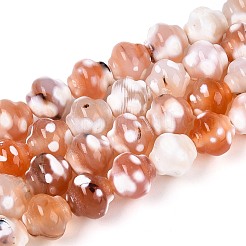 Dyed Natural Agate Beads Strands&nbsp;G-T144-27D