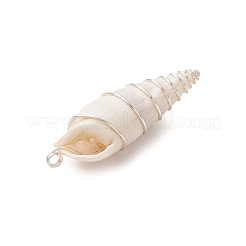 Copper Wire Wrapped Natural Spiral Shell Big Pendants&nbsp;PALLOY-JF03397-01