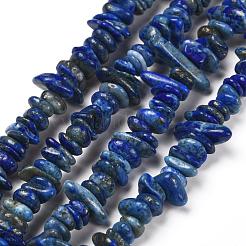 Natural Lapis Lazuli Chip Bead Strands&nbsp;X-G-M205-14