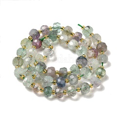 Natural Fluorite Beads Strands&nbsp;G-P508-A07-01