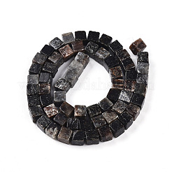 Natural Biotite Beads Strands&nbsp;G-T140-39A