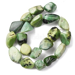 Natural Serpentine Beads Strands&nbsp;G-D098-C06