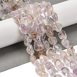 Natural Amethyst Beads Strands&nbsp;G-P497-01E-60