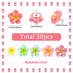 30Pcs Plumeria Resin Cabochon Map Pins&nbsp;AJEW-SC0031-18