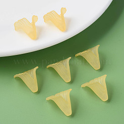 Transparent Acrylic Beads&nbsp;PL551-C30