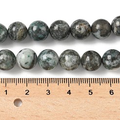 Natural Dioptase Beads Strands&nbsp;G-D302-02-10mm