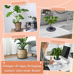 4Pcs Diatomaceous Earth Plant Saucer&nbsp;DIY-WA0001-16