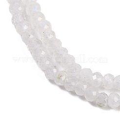 Natural Rainbow Moonstone Beads Strands&nbsp;G-F778-A06-01