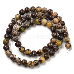 Natural Cherry Blossom Jasper Beads Strands&nbsp;G-C079-A02-03