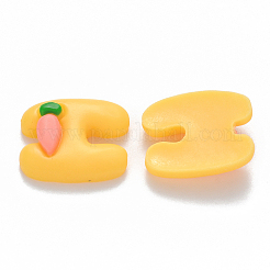 Resin Cabochons&nbsp;CRES-N022-32F