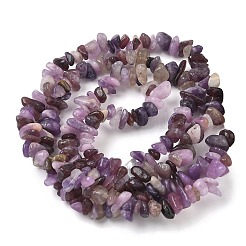 Natural Lepidolite/Purple Mica Stone Beads Strands&nbsp;G-Z081-A01