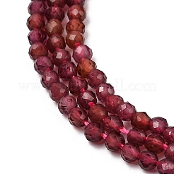 Natural Garnet Beads Strands&nbsp;G-A318-A04-2mm-01