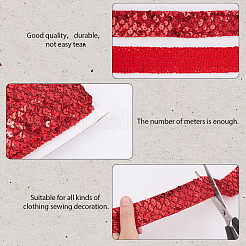 Polyester with PT Paillette Lace Trim Ribbon&nbsp;OCOR-WH20073-01A