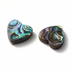 Abalone Shell/Paua Shell Beads&nbsp;SHEL-T005-01