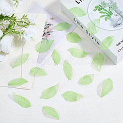 100Pcs Dried Flower Leaf Craft Supplies&nbsp;AJEW-CP0009-41A