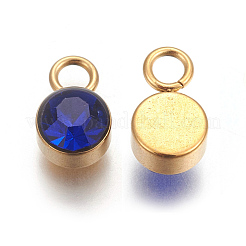 Glass Rhinestone Charms&nbsp;X-STAS-F189-B06