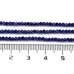 Natural Sodalite Beads Strands&nbsp;G-B088-C04-02