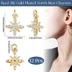 12Pcs Brass Micro Pave Cubic Zirconia Charms&nbsp;KK-BBC0017-05