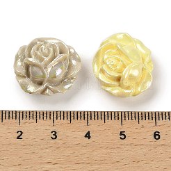 UV Plating Opaque Rainbow Iridescent Acrylic Beads&nbsp;MACR-R003-02A