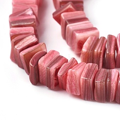 Freshwater Shell Beads Strands&nbsp;BSHE-O017-10