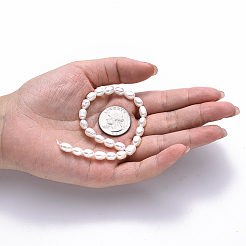 Natural Cultured Freshwater Pearl Beads Strands&nbsp;X-PEAR-N012-06D