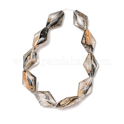 Transparent Handmade Lampwork Beads&nbsp;LA-CBAF0C8-02H