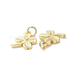 Rack Plating Brass Charms&nbsp;KK-F849-02G