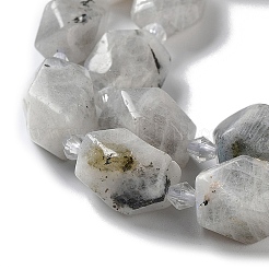 Natural Labradorite Beads Strands&nbsp;G-C182-25-01