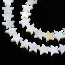 Natural Freshwater Shell Beads Strands&nbsp;X-SHEL-S278-01B-01