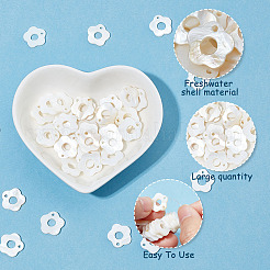 50Pcs Freshwater Shell Charms&nbsp;FIND-AR0002-55