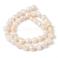 Natural Cultured Freshwater Pearl Beads Strands&nbsp;PEAR-P064-19K-03B