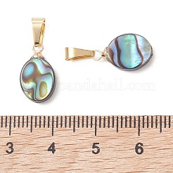 Abalone Shell/Paua Shell Pendants&nbsp;PALLOY-JF05265