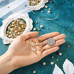 780Pcs 6 Style Sew on Rhinestone&nbsp;DIY-YS0001-44