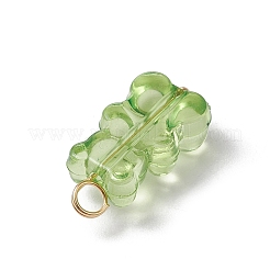 16Pcs Transparent Acrylic Pendants&nbsp;PALLOY-JF03542
