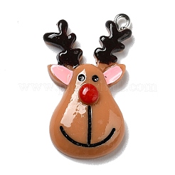 Opaque Resin Pendants&nbsp;RESI-D055-008P