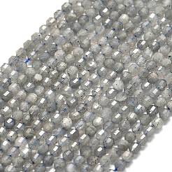 Natural Labradorite Beads Strands&nbsp;G-A260-A44-01A