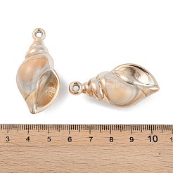 Plating Acrylic Pendants&nbsp;OACR-F012-06G