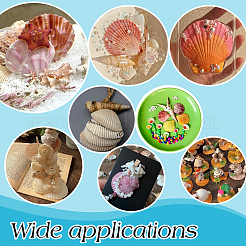 80Pcs 4 Styles Natural Shell Display Decorations&nbsp;DJEW-PH0001-61