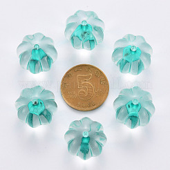 Transparent Acrylic Beads&nbsp;TACR-S154-19A-68