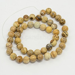 Picture Jasper Round Beads Strands&nbsp;G-GSR8mmC016