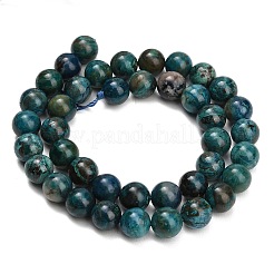 Natural Chrysocolla Beads Strands&nbsp;G-G475-A03-10mm