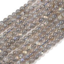 Natural Labradorite Beads Strands&nbsp;G-H337-A02-02