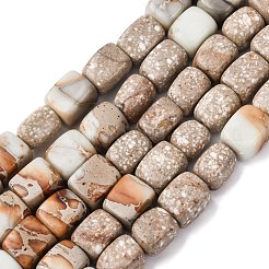 Natural Aqua Terra Jasper Beads Strands&nbsp;G-B155-D15