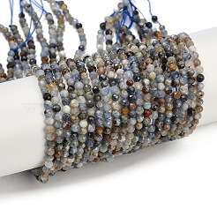 Natural Kyanite Beads Strands&nbsp;LS-G-M092-D03-01A