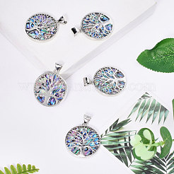 Resin Imitation Paua Shell/Abalone Shell Pendants&nbsp;RESI-S376-24
