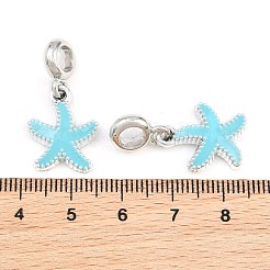 Alloy Enamel European Dangle Charms&nbsp;AL-CBAC2D3-02P-06
